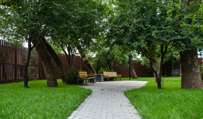 Вдали от суеты, в центре природы